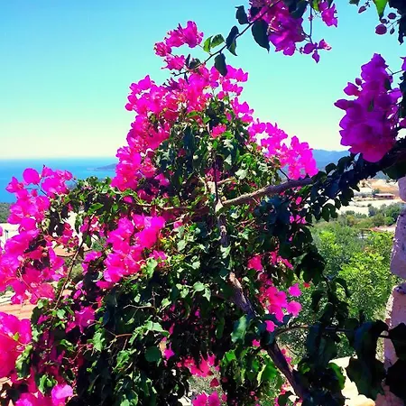 Gasthof Istlada Tas Ev - Kekova View